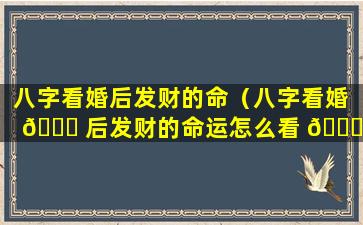 八字看婚后发财的命（八字看婚 🐕 后发财的命运怎么看 🍁 ）